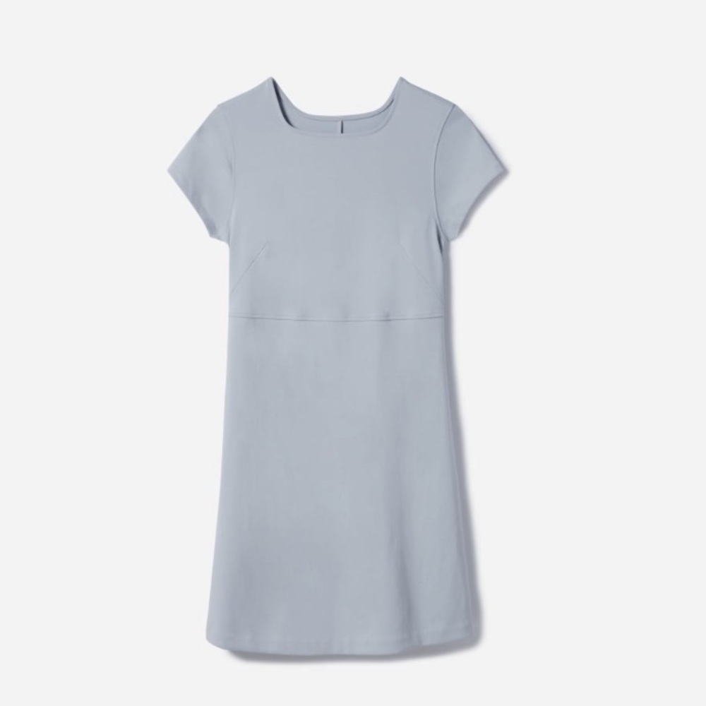 Everlane Party Of One Tee Dress